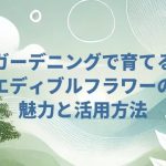 ガーデニングで育てるエディブルフラワーの魅力と活用方法